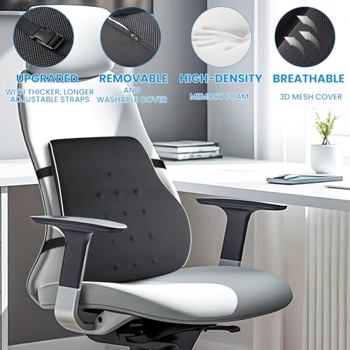 Ergonomic Lumbar Support Pillow with Adjustable Straps