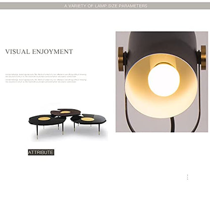 Adjustable LED Desk Lamp with Flexible Neck