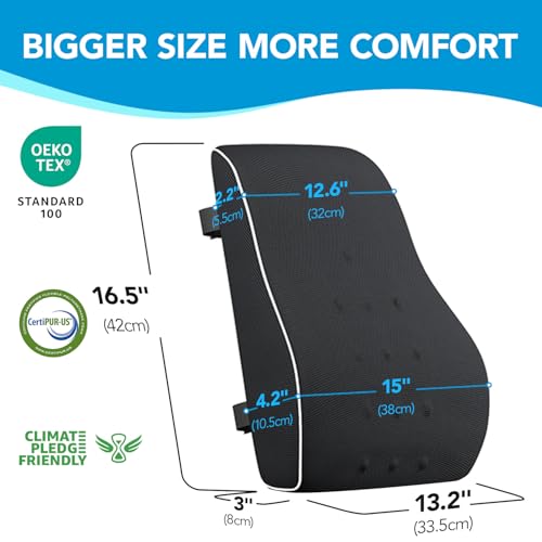 Ergonomic Lumbar Support Pillow with Adjustable Straps