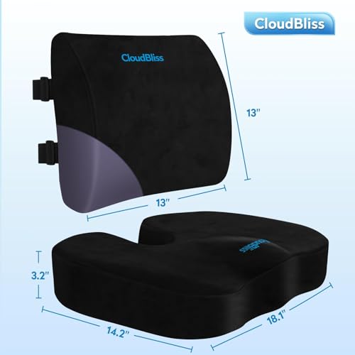 Memory Foam Seat Cushion with Lumbar Support