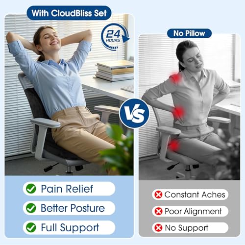 Memory Foam Seat Cushion with Lumbar Support