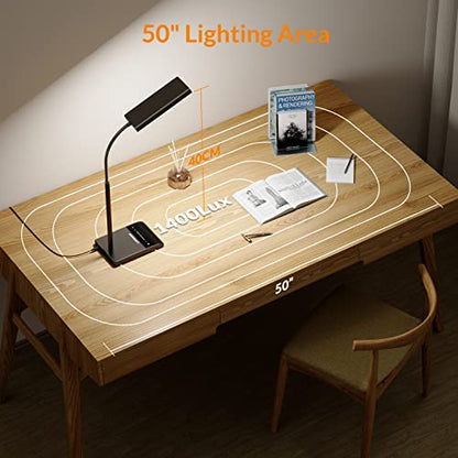 LED Desk Lamp with Adjustable Gooseneck Lighting