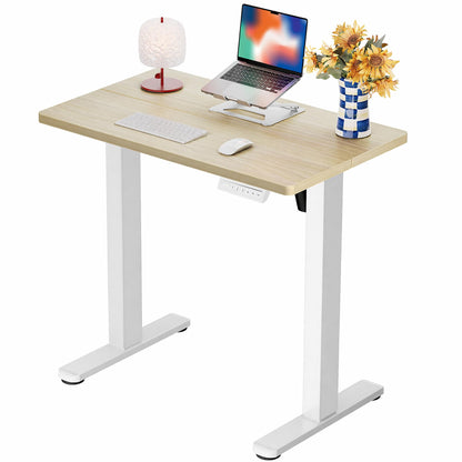 Height Adjustable Electric Standing Desk