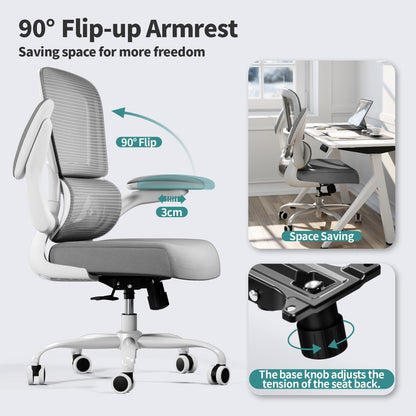Ergonomic Mesh Office Chair with Lumbar Support
