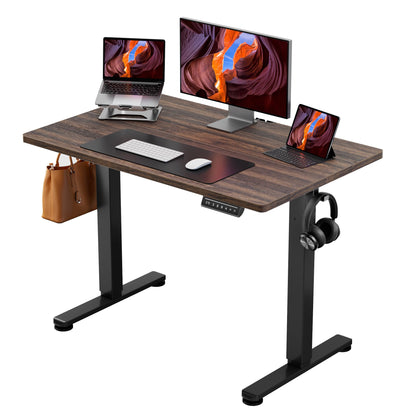 Height Adjustable Electric Standing Desk