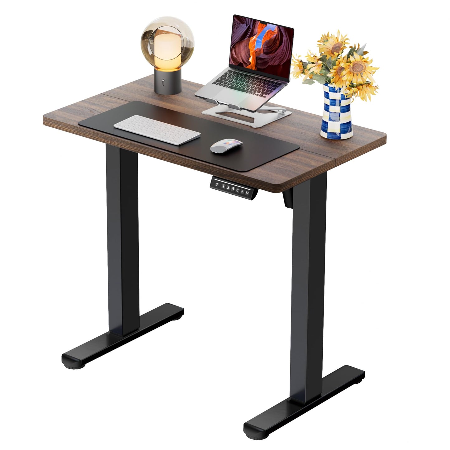 Height Adjustable Electric Standing Desk