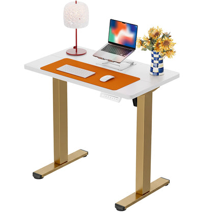 Height Adjustable Electric Standing Desk