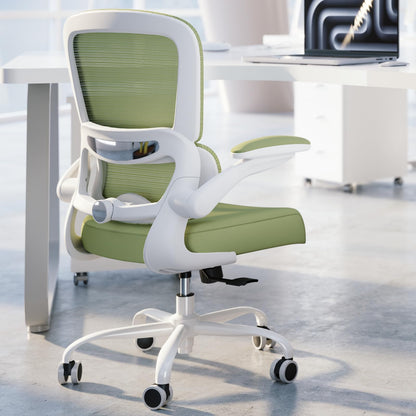 Ergonomic Mesh Office Chair with Lumbar Support