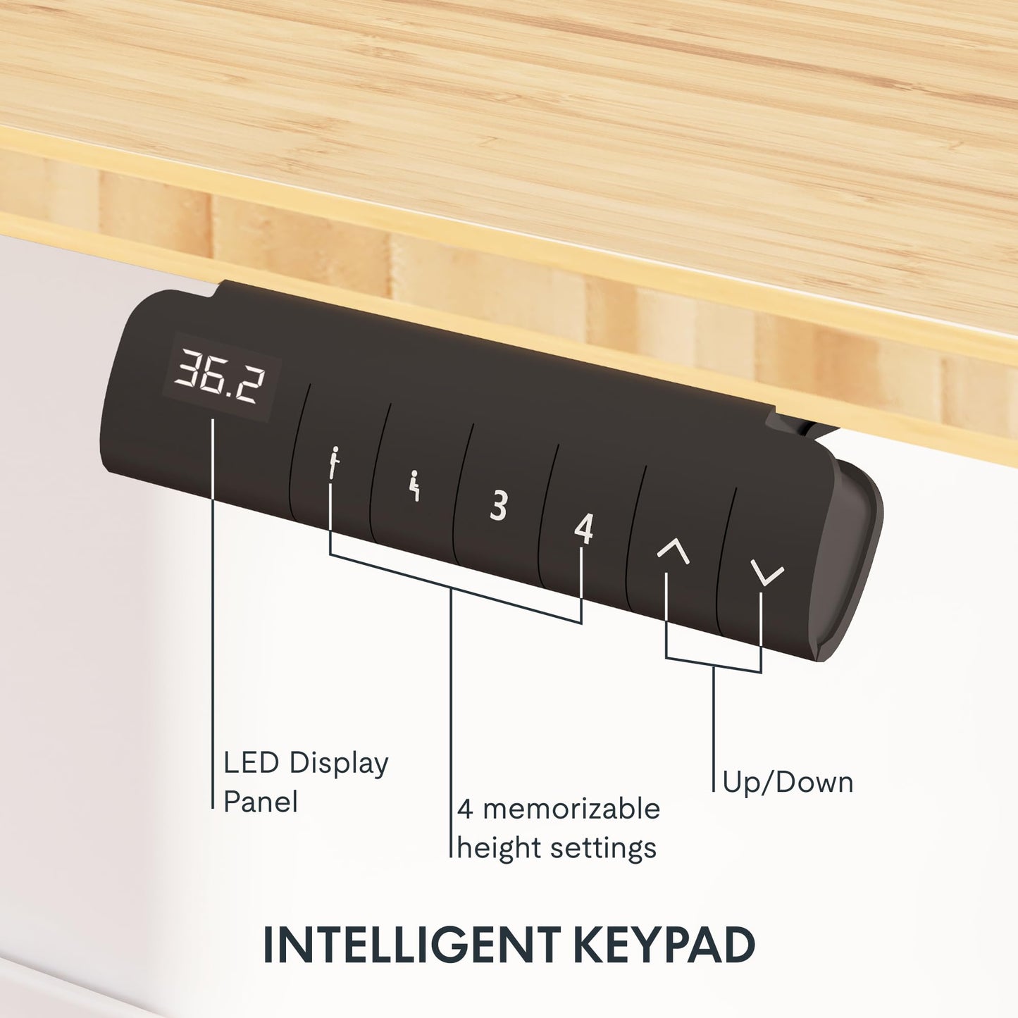 Dual Motor Electric Standing Desk with Bamboo Top