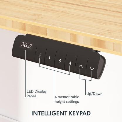 Dual Motor Electric Standing Desk with Bamboo Top