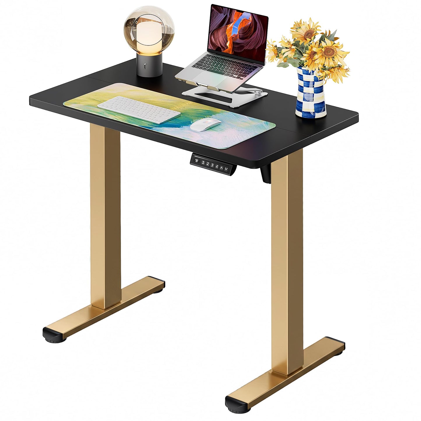 Height Adjustable Electric Standing Desk