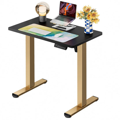Height Adjustable Electric Standing Desk