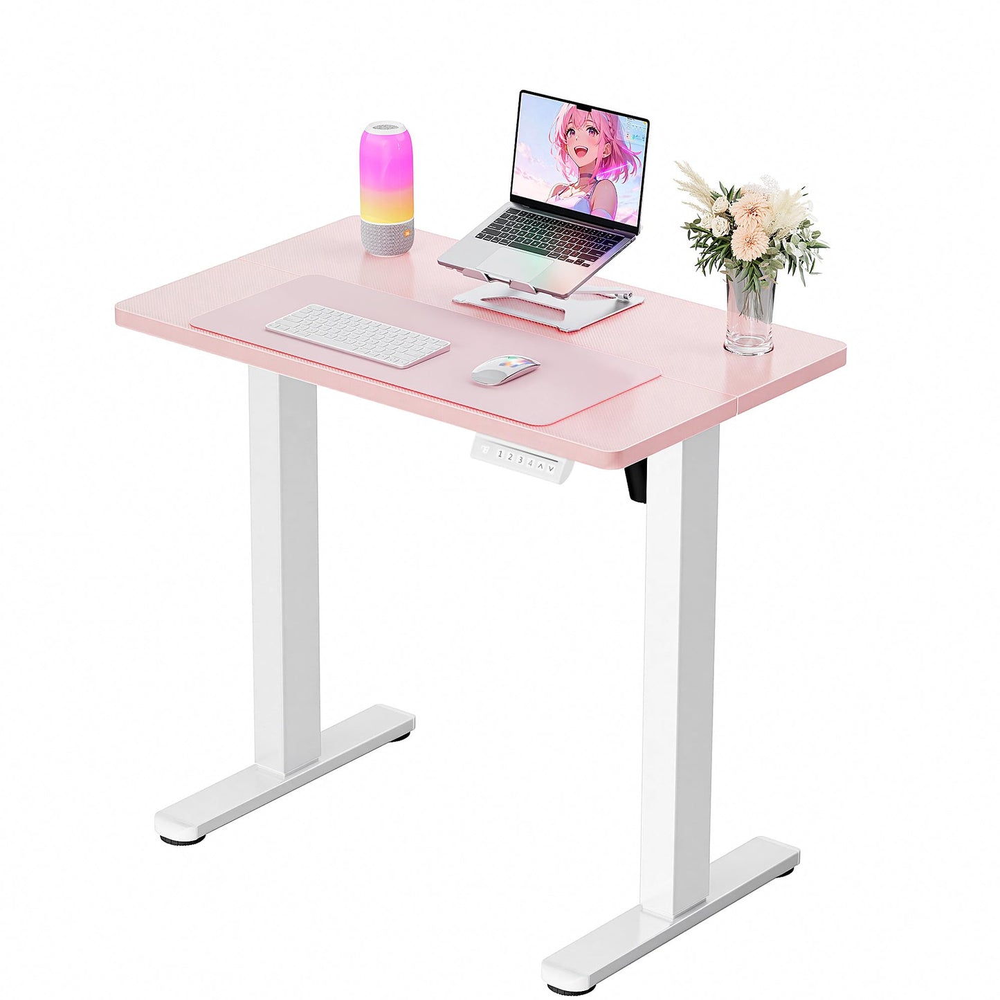 Height Adjustable Electric Standing Desk