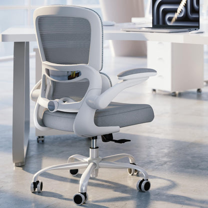 Ergonomic Mesh Office Chair with Lumbar Support
