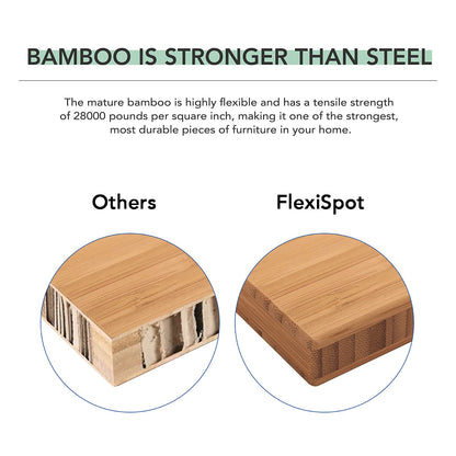 Dual Motor Electric Standing Desk with Bamboo Top