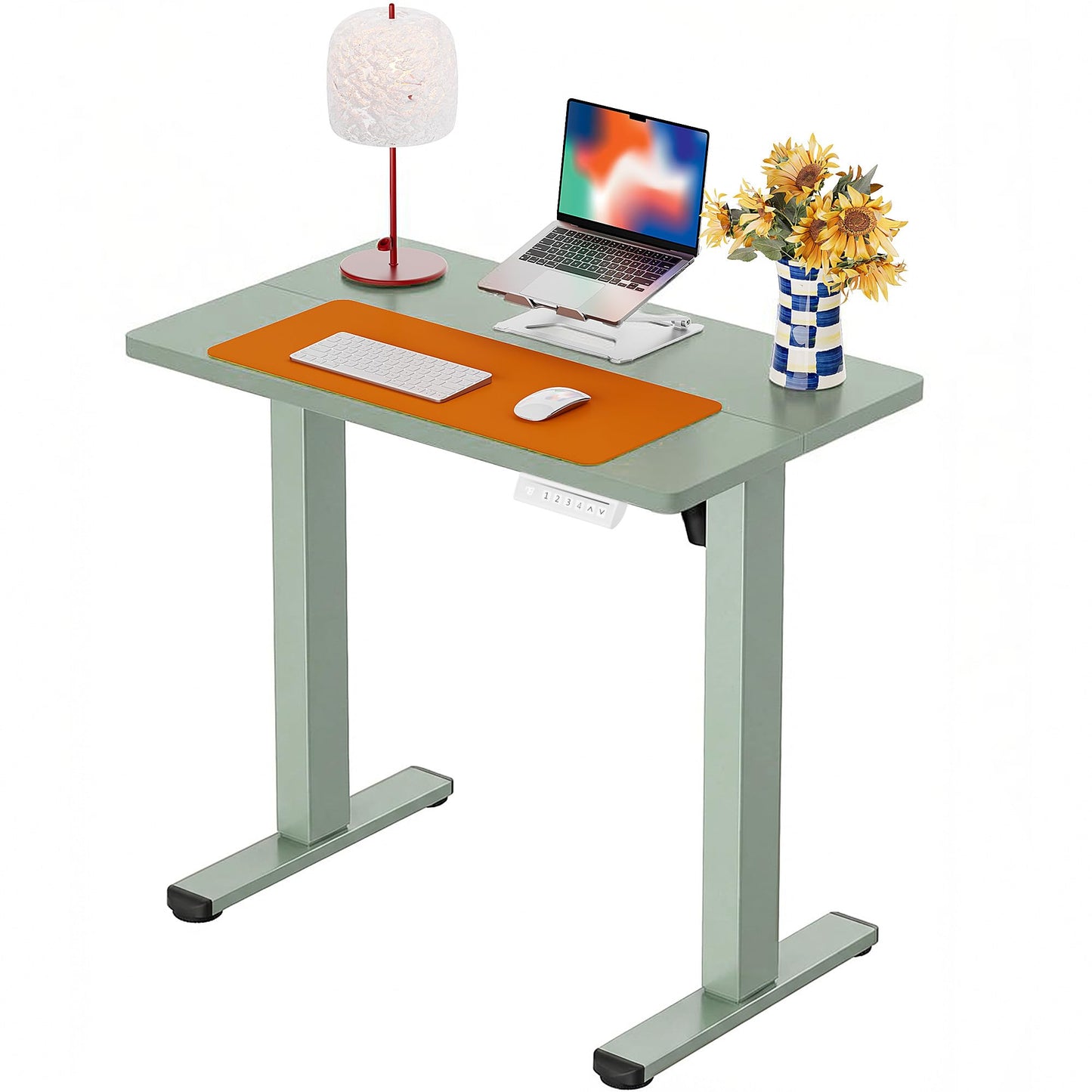Height Adjustable Electric Standing Desk