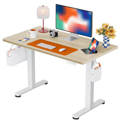 Height Adjustable Electric Standing Desk