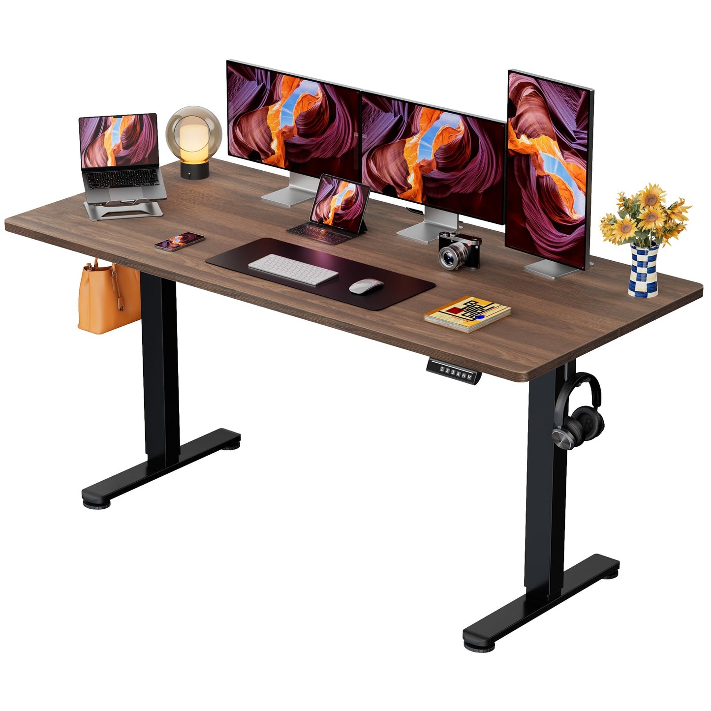 Height Adjustable Electric Standing Desk