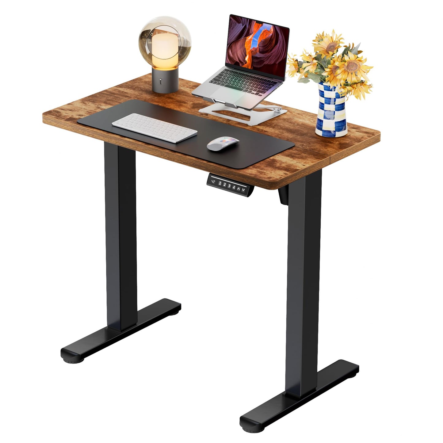 Height Adjustable Electric Standing Desk