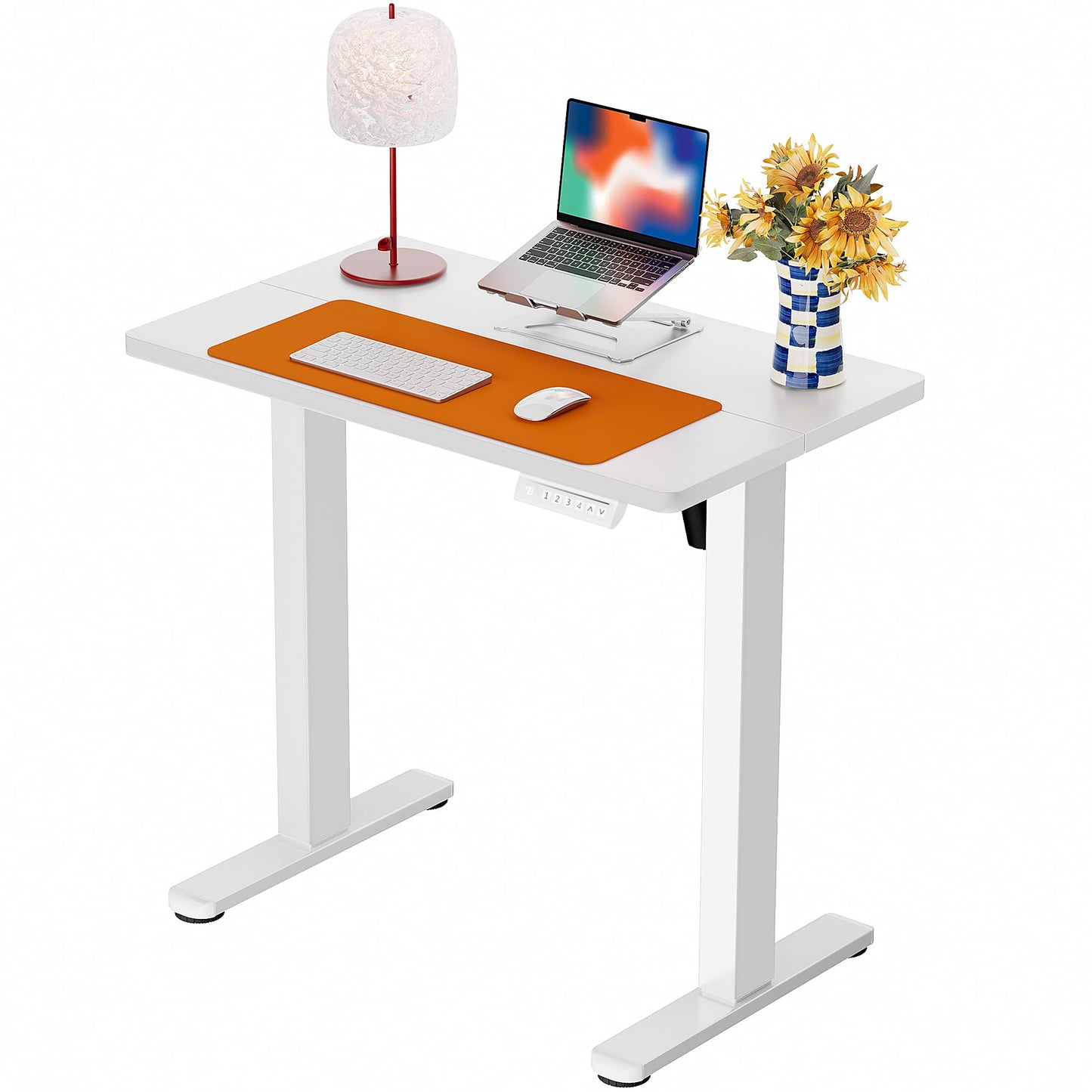 Height Adjustable Electric Standing Desk