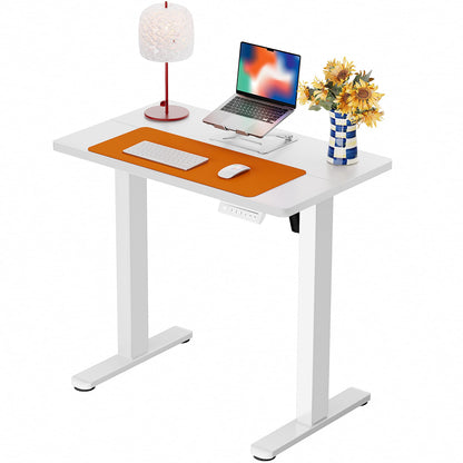 Height Adjustable Electric Standing Desk