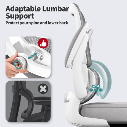 Ergonomic Mesh Office Chair with Lumbar Support