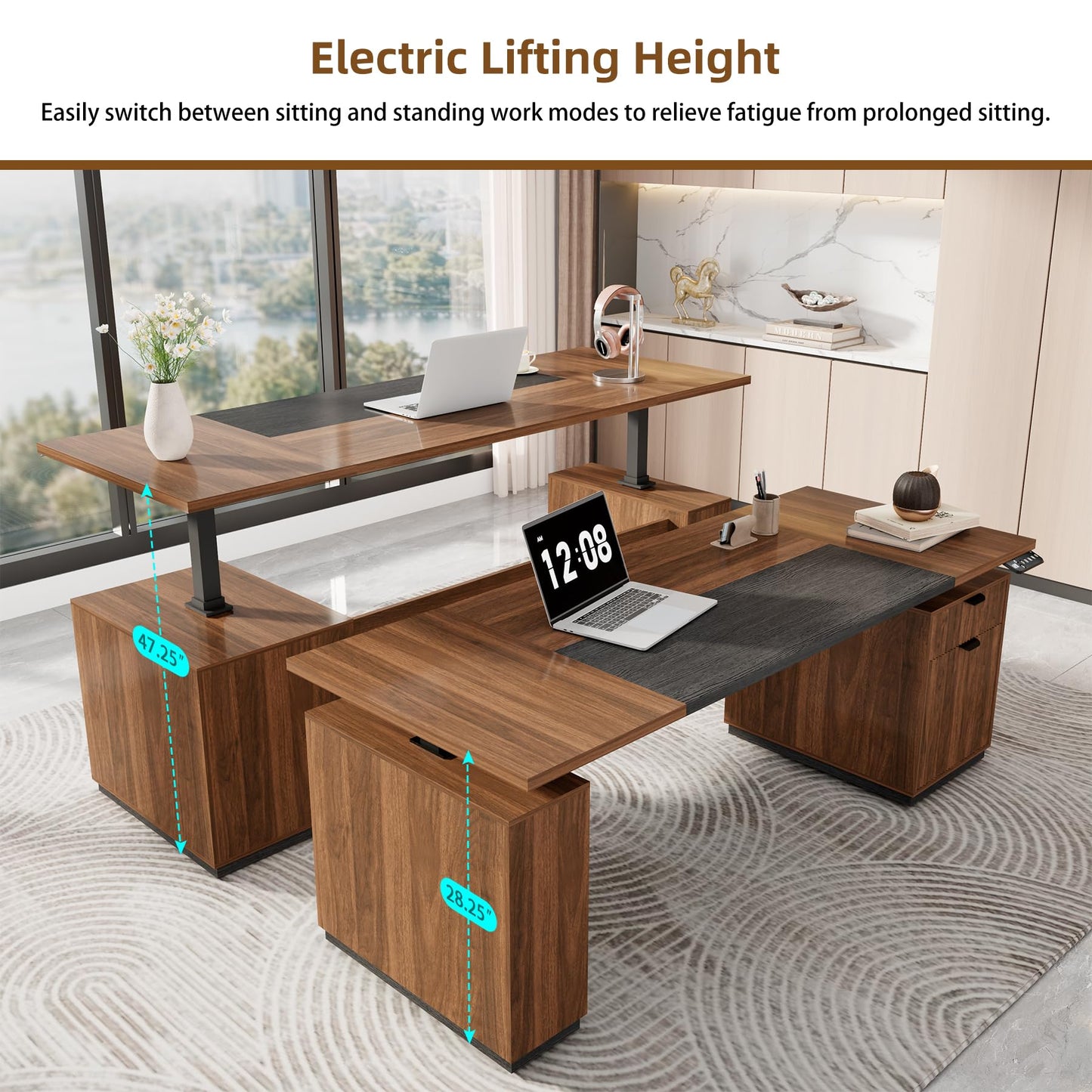 Electric Standing Desk with Storage Drawers and Cabinet